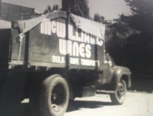 Grape Harvest 1956