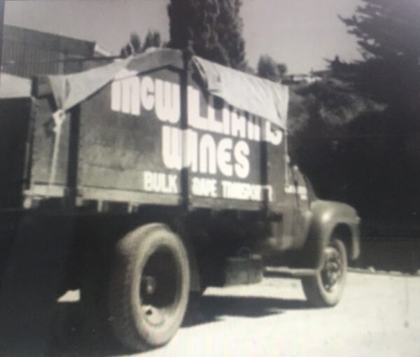 Grape Harvest 1956